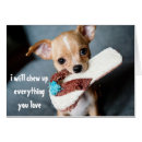 Search for chewing Puppy