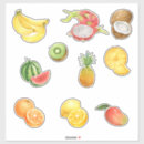 Search for coconut fruit stickers Coconuts
