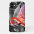 Search for black and white bird iphone cases Photography