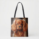 Search for ruby cavalier king charles spaniel Red