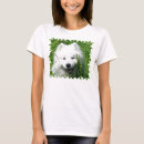 Search for green grass tshirts White