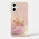 Search for cherry blossoms iphone cases Flower