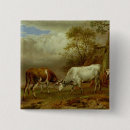 Search for bulls badges Cattle
