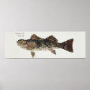 Search for retro fishing posters Vintage