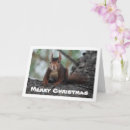 Search for red squirrel christmas cards Festive
