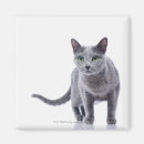 Search for russian magnets Feline