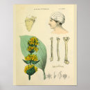 Search for vintage medical medicine posters Anatomy
