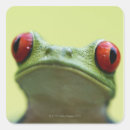Search for red eyed tree frog stickers Reptiles