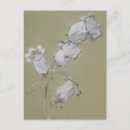 Search for spray postcards Floral