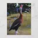 Search for whistle postcards Nature