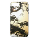 Search for tropical cases Photography