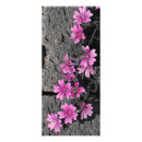 Search for purples rack cards Flowers