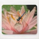 Search for water mouse mats Dragonfly
