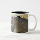Search for sculpturer mugs Light