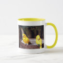 Search for parakeet mugs Animal