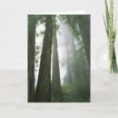 Search for large format cards Landscape