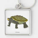 Search for digital animals key rings Nature