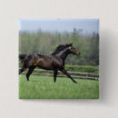 Search for rural scenes badges Animal