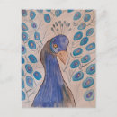 Search for blue peacock bird postcards Nature