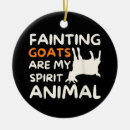 Search for fainting goats Goat lover