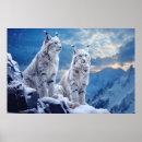 Search for lynx art Wildlife