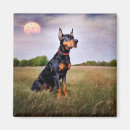 Search for dobermans magnets Canine
