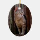 Search for brown tabby cat christmas tree decorations Animals