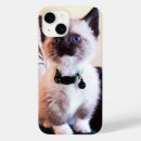 Search for blue eyed iphone cases Kitty