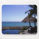 Search for cancun mouse mats Ocean