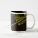 Search for bicolor mugs Iwokrama reserve
