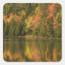 Search for reflections stickers Scenic