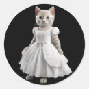 Search for cat wearing stickers Funny