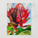 Search for native australian postcards Floral