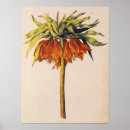 Search for vellum posters Flowers