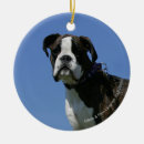 Search for brindle boxer dog christmas tree decorations Headshot