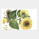 Search for native flower stickers Botanical