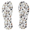 Search for chicken shoes Egg