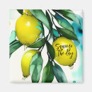 Search for lemon tree magnets Nature