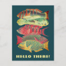 Search for vintage fishing postcards Fisherman