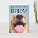 Search for corgi birthday cards Puppy