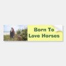 Search for colt bumper stickers Horse
