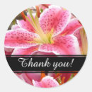 Search for stargazer lily stickers Pink lilies