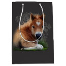 Search for foal Mammal