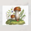 Search for mushroom birthday cards Wild