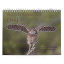 Search for long office supplies Birds