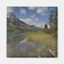 Search for icefields magnets Scenic