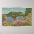 Search for view with trees posters States