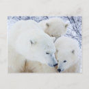 Search for danita delimont postcards Canada