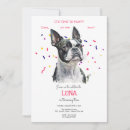 Search for bostons invitations Dogs