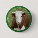 Search for heifer badges Animal